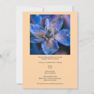 Invitación Flor nativa de Borraja azul sobre melocotón