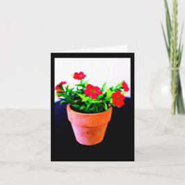 Invitación Flor Pot