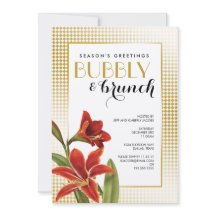 Flor roja Amaryllis comprobada de oro