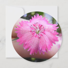 Invitación Flor rosa brillante con puntos