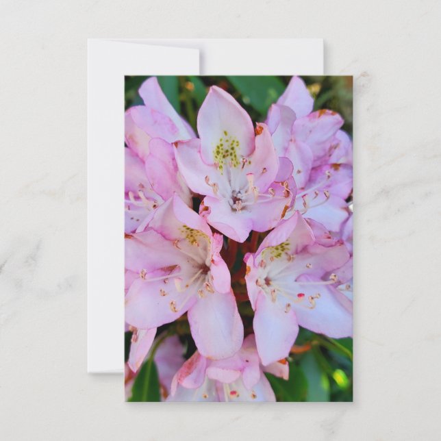 Invitación Flor rosa de rododendros (Anverso)