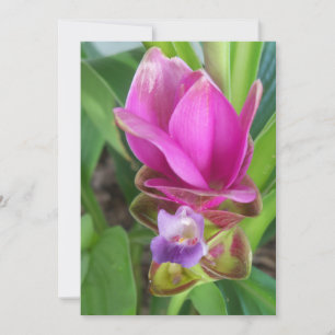 Invitación Flor turca rosa y violeta en una foto