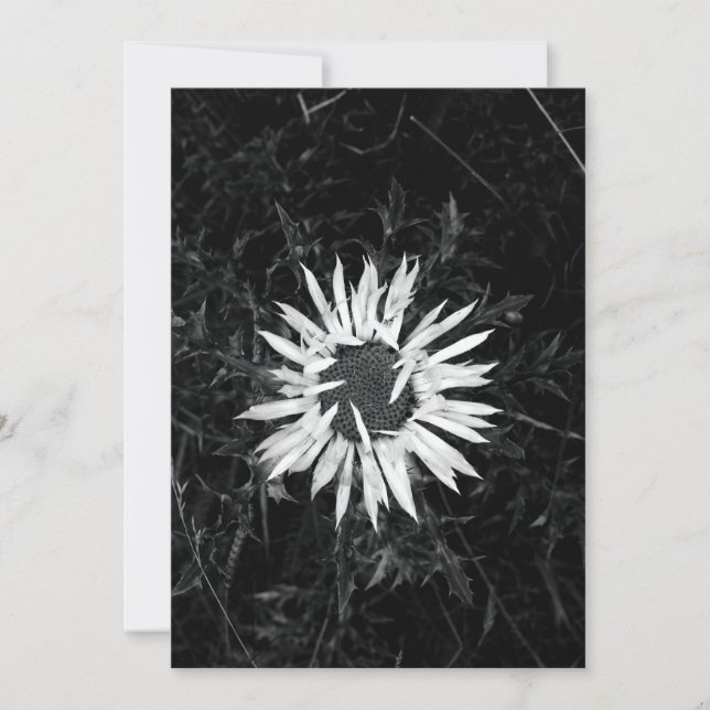 Invitación Flor vieja (Anverso)