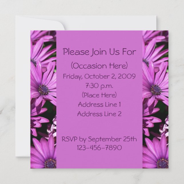 Invitación floral cuadrada de Daisies Africanos Pú (Anverso)