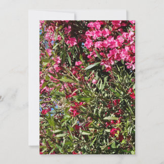 Invitación Floral rosa