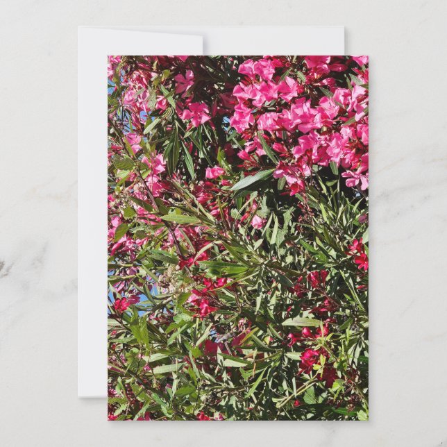 Invitación Floral rosa (Anverso)