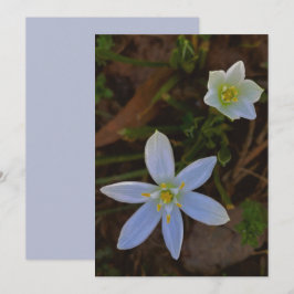 Invitación florecer en blanco