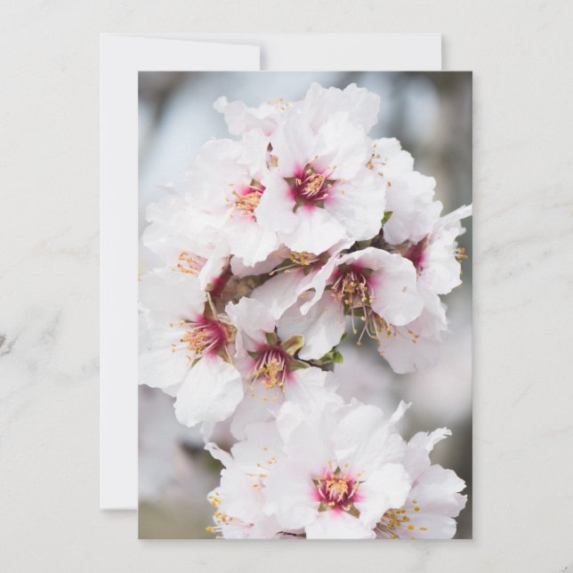 Invitación Florecimiento de almendra (Anverso)