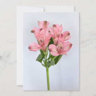 Invitación Flores de Alstroemeria