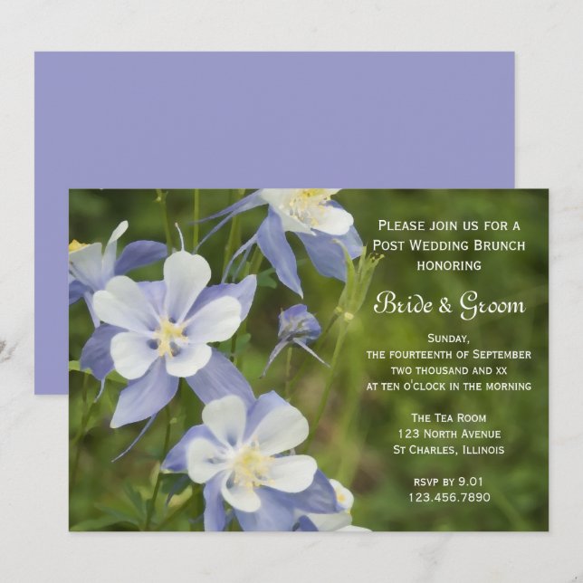 Invitación Flores de Columbina Azul Post Boda Brunch (Anverso / Reverso)