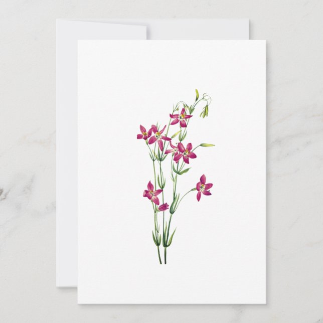 Invitación Flores de época - Centaurium por Mary Vaux Walcott (Anverso)