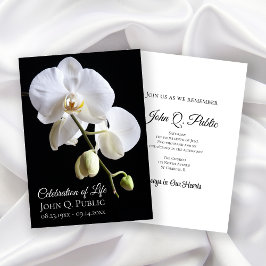 Invitación Flores de orquídeas blancas en celebración de la v