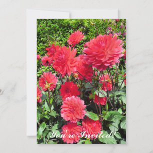INVITACIÓN FLORES DE PAÍSES GARDEN