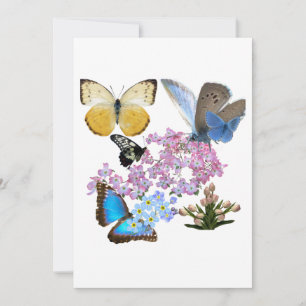 Invitación Flores y mariposas: Un nuevo biggenismo