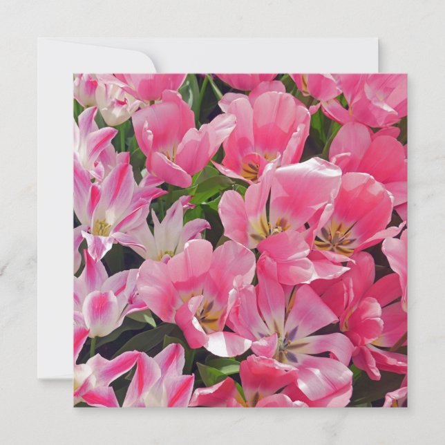 Invitación Flower Power Blumenpracht 17 Karte (Anverso)