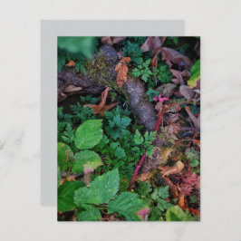 Invitación Foliage verde