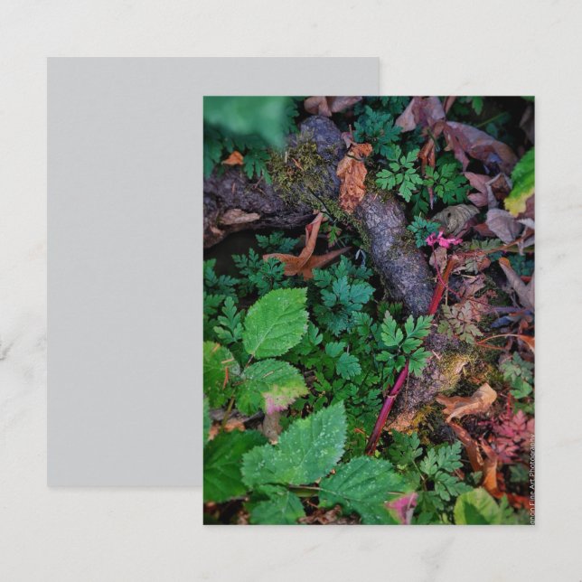 Invitación Follaje Verde (Anverso / Reverso)