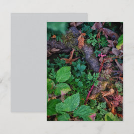 Invitación Follaje Verde