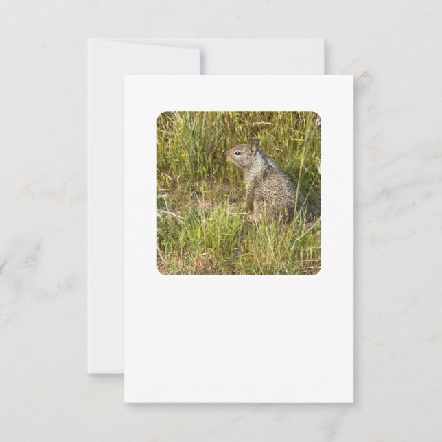 Invitación forzar reemplazo con máscara (Anverso)