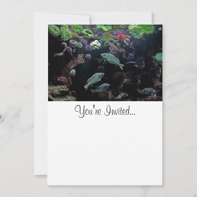 Invitación Foto acuática de peces y peces (Anverso)