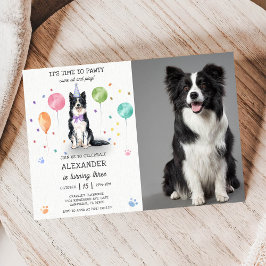 Invitación Foto azul de cumpleaños del perro pastor collie en