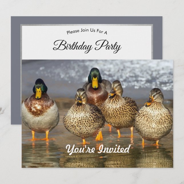 Invitación Foto cumpleaños de Wildlife Mallard Ducks (Anverso / Reverso)
