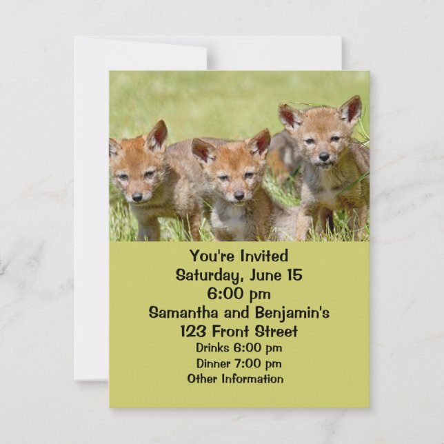 Invitación Foto de Baby Coyotes (Anverso)