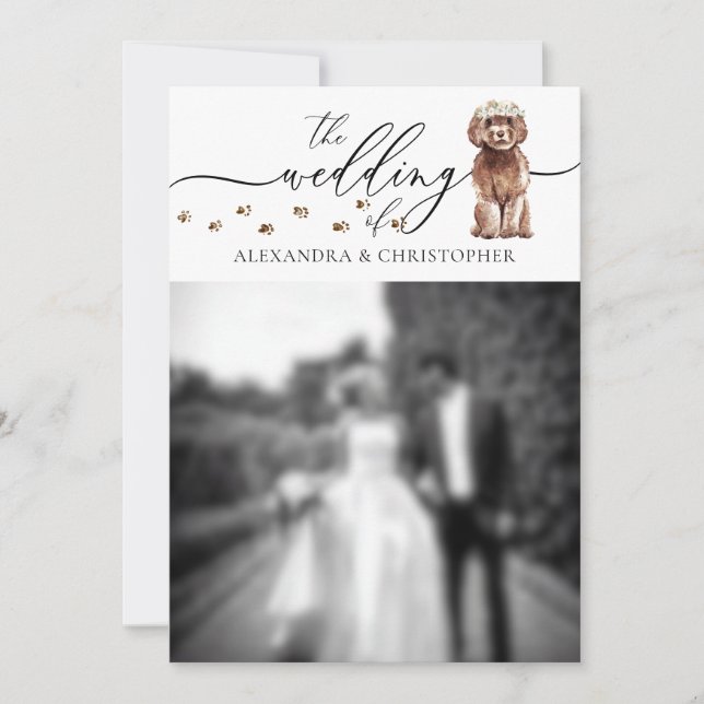 Invitación Foto de boda de cachorro Cavapoo marrón (Anverso)