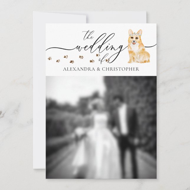 Invitación Foto de boda de cachorro Corgi (Anverso)