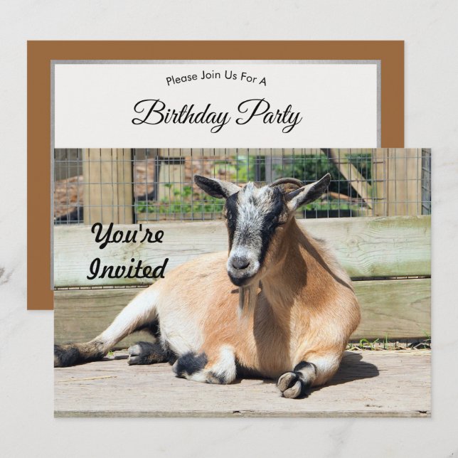 Invitación Foto de Cute Brown Goat Sleeping Photo Cumpleaños (Anverso / Reverso)