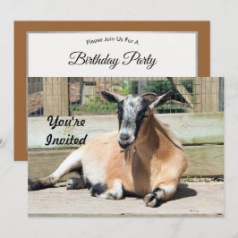 Invitación Foto de Cute Brown Goat Sleeping Photo Cumpleaños