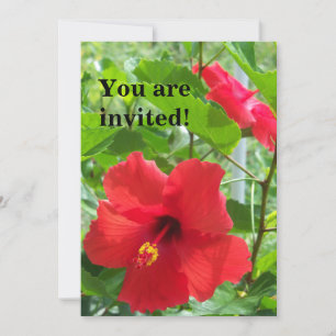 Invitación Foto de flores rojas de hibiscos tropicales en un