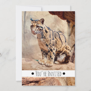 Invitación foto de leopardo nebuloso naturaleza
