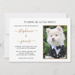 Invitación Foto de mascota Mis humanos se casan boda