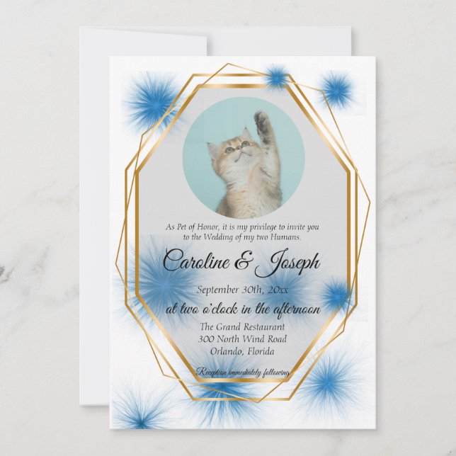 Invitación Foto de mascota para Boda con el fondo azul de Inv (Anverso)