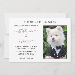 Invitación Foto de Mascota Rosa Dorado Humanos Casándose Boda