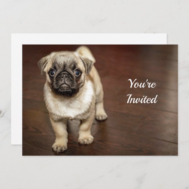 Invitación Foto de perro de Pug Brown Cumpleaños (Anverso / Reverso)
