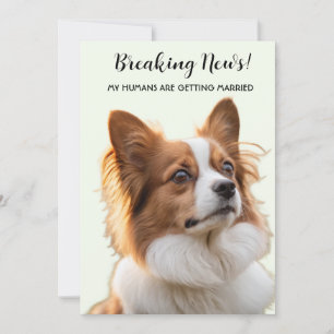 Invitación Foto de Perro Mis Humanos Se Van a Casar