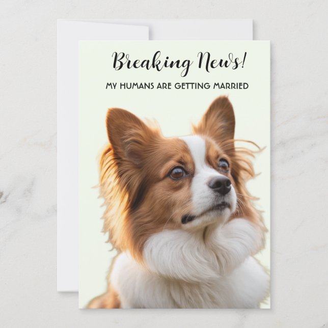 Invitación Foto de Perro Mis Humanos Se Van a Casar (Anverso)