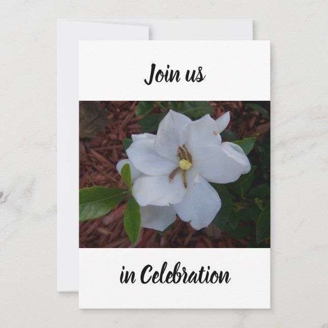 Invitación Foto de una gardenia blanca floreciendo cerca de u (Anverso)