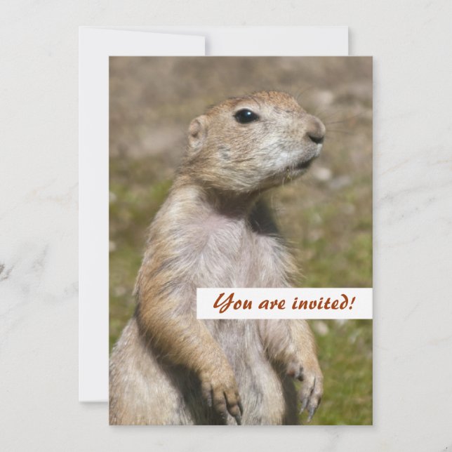 Invitación Foto de vida silvestre de perro de la pradera de c (Anverso)