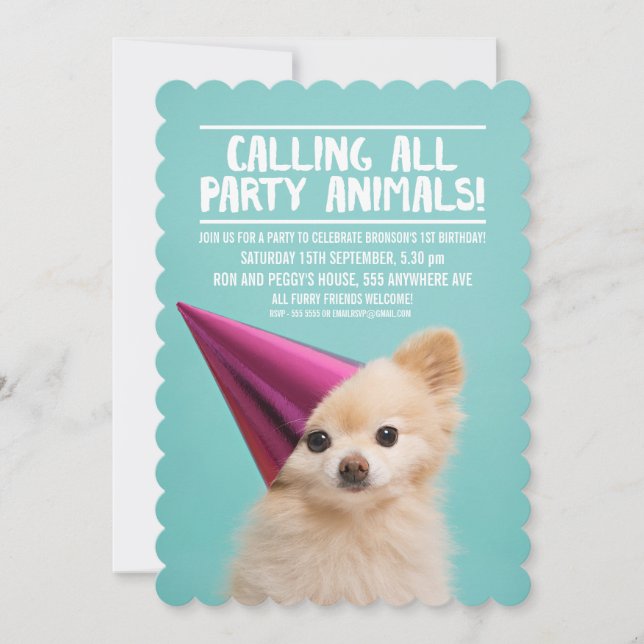 INVITACIÓN FOTO DEL FIESTA DE PUPPY DE MASCOTA DOG (Anverso)