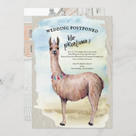 Invitación Foto divertida de la boda de la llama pospuesta ca