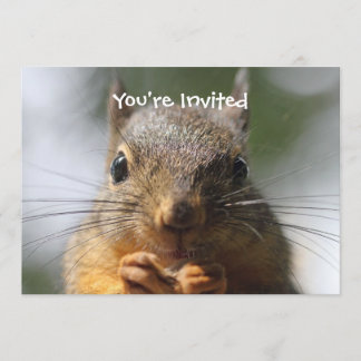 Invitación Foto macra sonriente de la ardilla linda