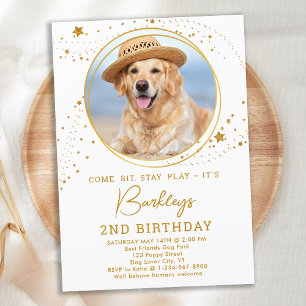 Invitación Foto Mascota personalizada Oro Stars Dog Cumpleaño