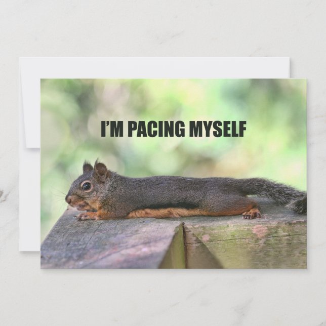 Invitación Foto perezosa de la ardilla (Anverso)