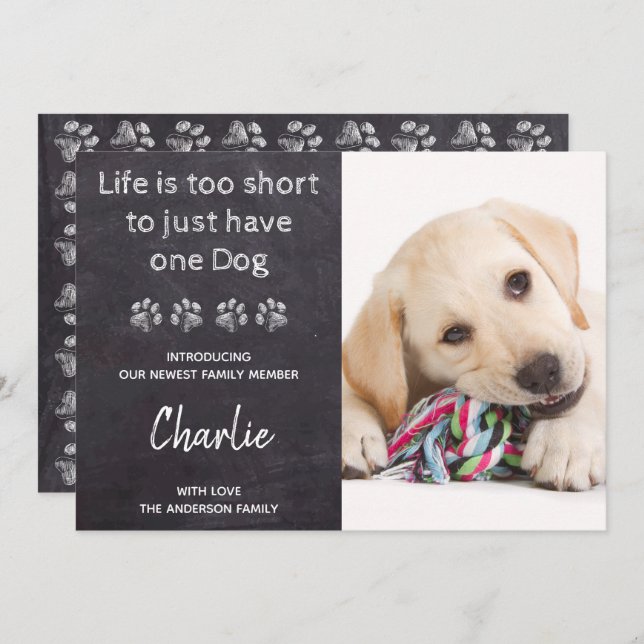 Invitación Foto Personalizado Nuevo Mascota Ducha De Cachorro (Anverso / Reverso)