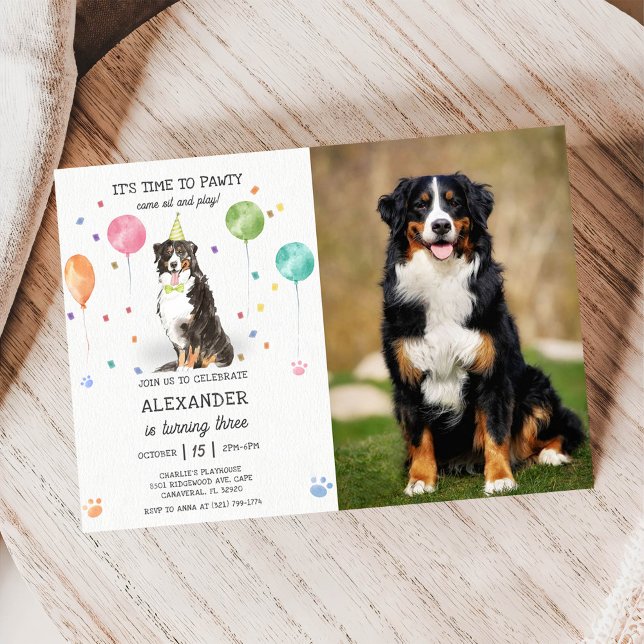Invitación Foto rosada de cumpleaños de Bernese Mountain Pawt (Subido por el creador)