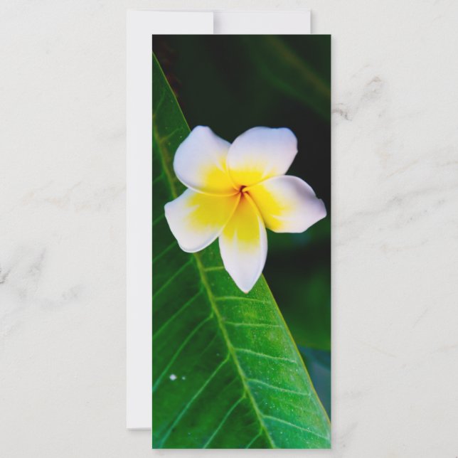 Invitación Fotografía de Flor de Plumeria (Reverso)