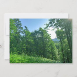 Invitación Fotografía del paisaje de los bosques verdes